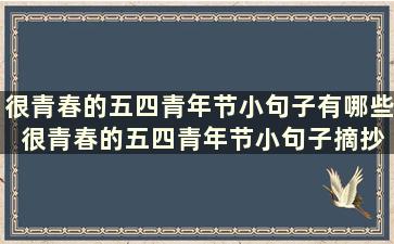 很青春的五四青年节小句子有哪些 很青春的五四青年节小句子摘抄